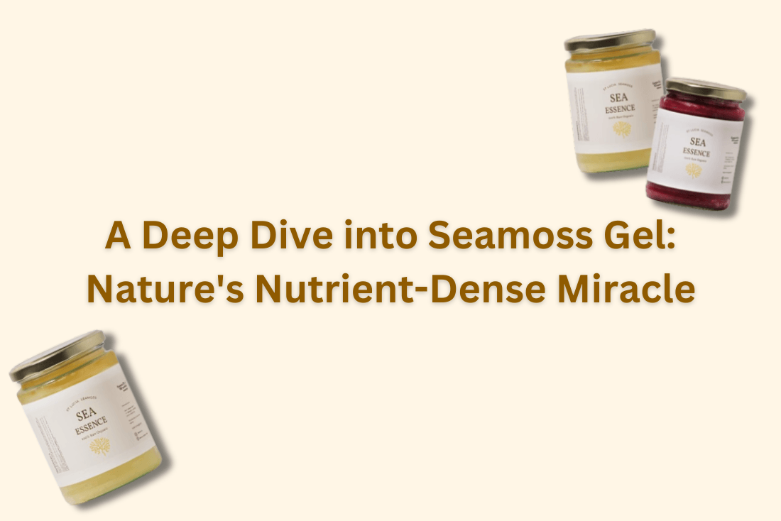 A Deep Dive into Seamoss Gel: Nature's Nutrient-Dense Miracle