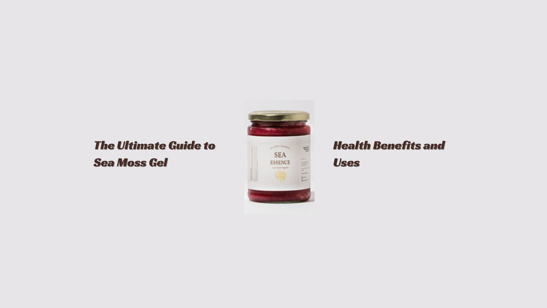 The Ultimate Guide to Sea Moss Gel: Health Benefits and Uses