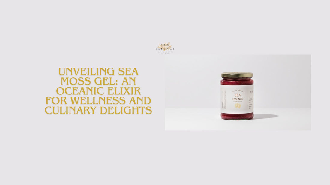 Unveiling Sea Moss Gel: An Oceanic Elixir for Wellness and Culinary Delights