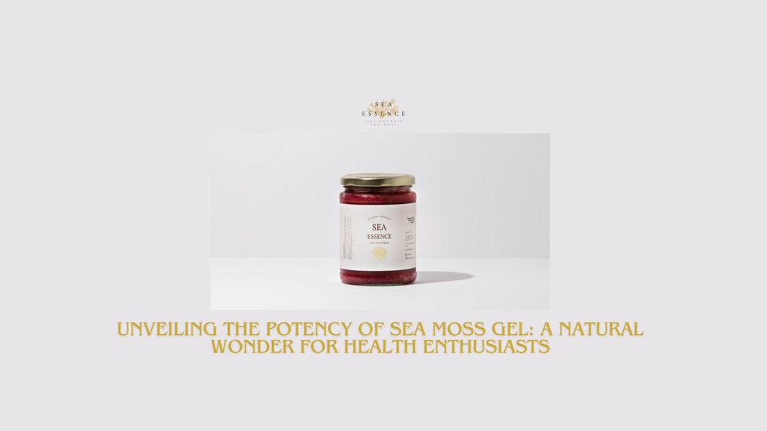 Unveiling the Potency of Sea Moss Gel: A Natural Wonder for Health Enthusiasts